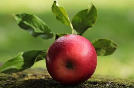 Малайзия и Сингапур заинтересовались украинскими яблоками и ягодами