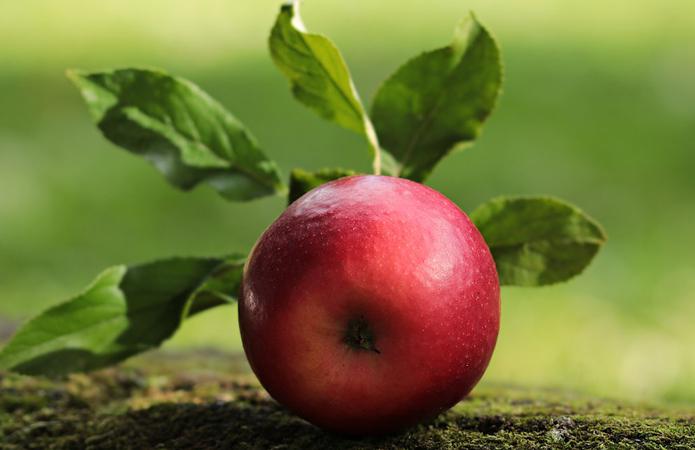  Малайзия и Сингапур заинтересовались украинскими яблоками и ягодами