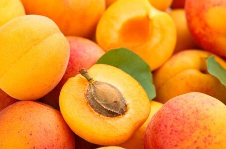Украинские садоводы предлагают первые партии абрикосов на треть дешевле, чем в прошлом году