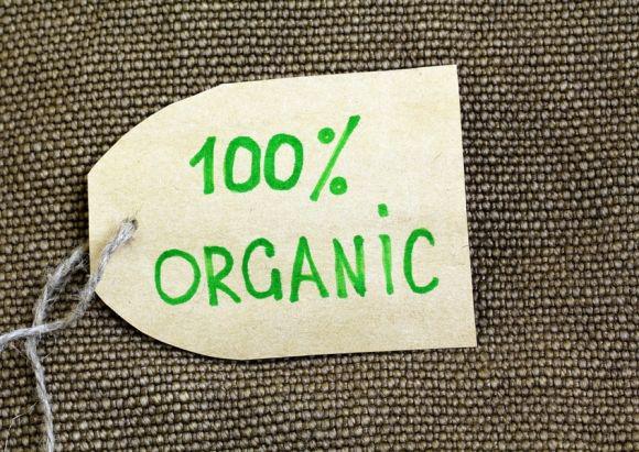  Верховна Рада ухвалила закон про вимоги до виробництва органічних продуктів
