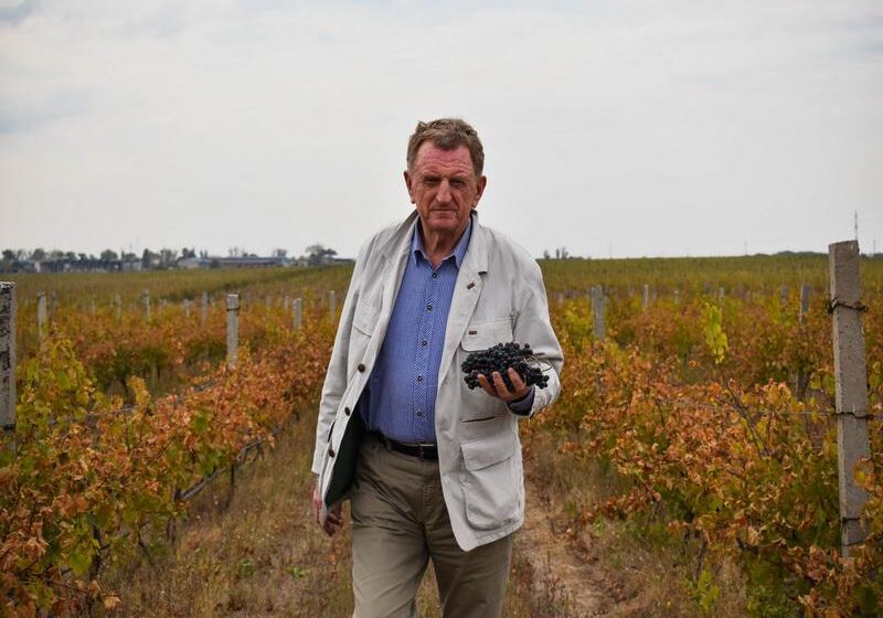  Фермерское хозяйство «Куринь»: от хорошего виноградника – до великолепного вина