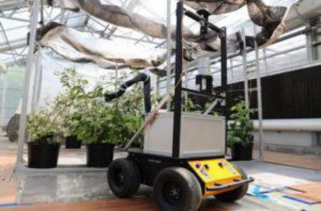 В США створили робота для запилення рослин