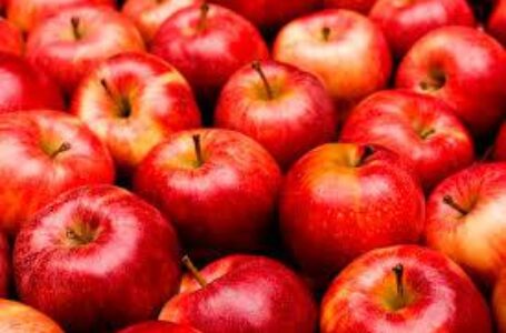 Яблука з Буковини відправлять до Бангладеш та Саудівської Аравії
