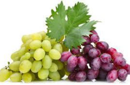Испанский столовый виноград получил доступ на китайский рынок