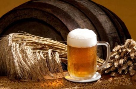 Европейские пивовары снизили требования к качеству ячменя из-за засухи