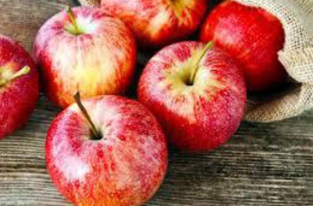 Израильские ученые нашли способ хранить яблоки целый год