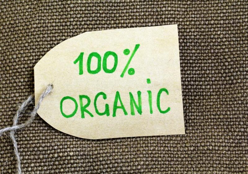  Эксперты проанализировали новые стандарты органического производства