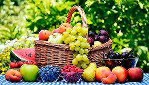  УПОА презентує сучасну систему управління експортними продажами фруктів і ягід