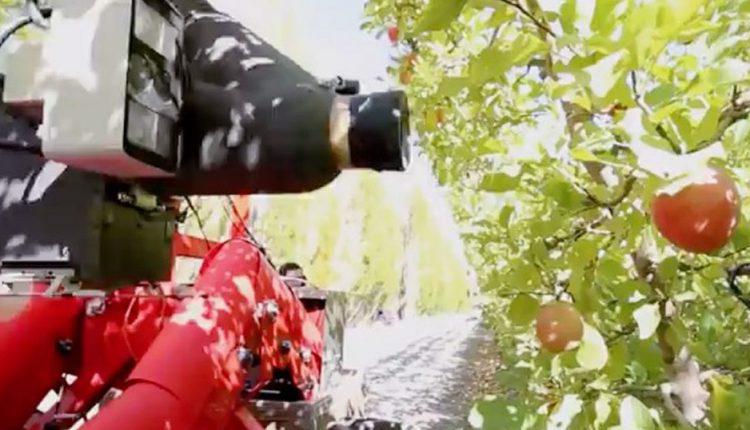  В США розробили автономного робота для збору яблук