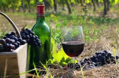 Українські виноробні компанії нарощують експорт продукції