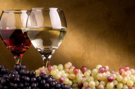 Молдова просит поддержки Китая в продвижении на рынке фруктов и вин