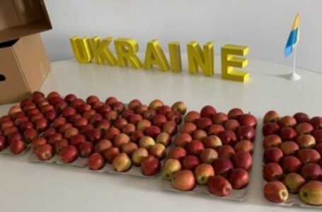 Українська компанія розпочинає експорт яблук до Африки