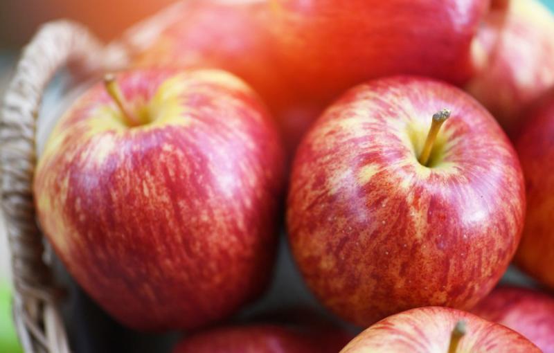  Крупные калибры яблока могут быть востребованы на Ближнем Востоке во второй половине сезона