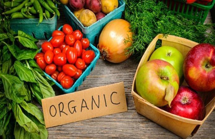  Рейтинг производителей органической плодо-овощной продукции в Украине возглавила Киевская область