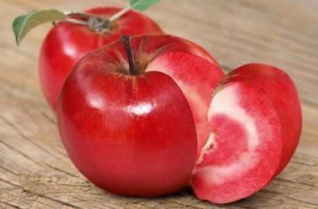 Новый сорт итальянских яблок с красной мякотью заинтересовал потребителей