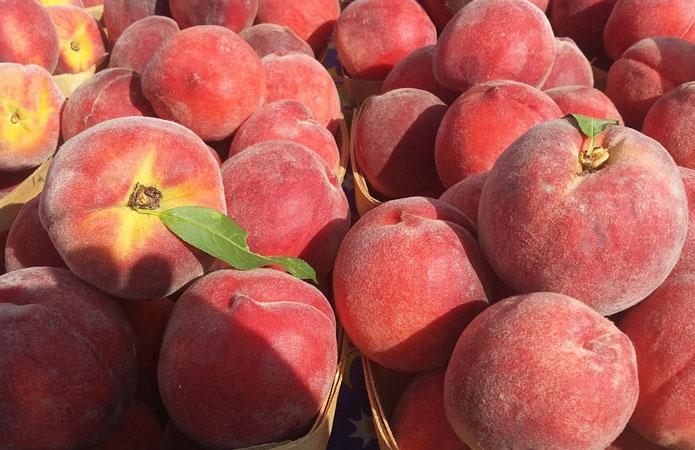  В Испании отходы персиков пустят на биоупаковку