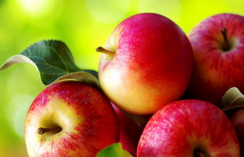  Італійці вже викорчовують Галу, а ми садимо – експерт про українські технології вирощування яблук
