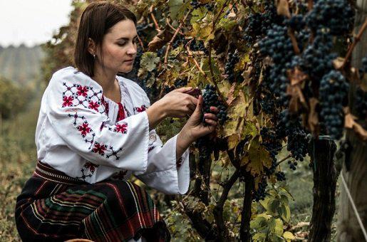  Молдова признана одной из лучших стран для винного туризма