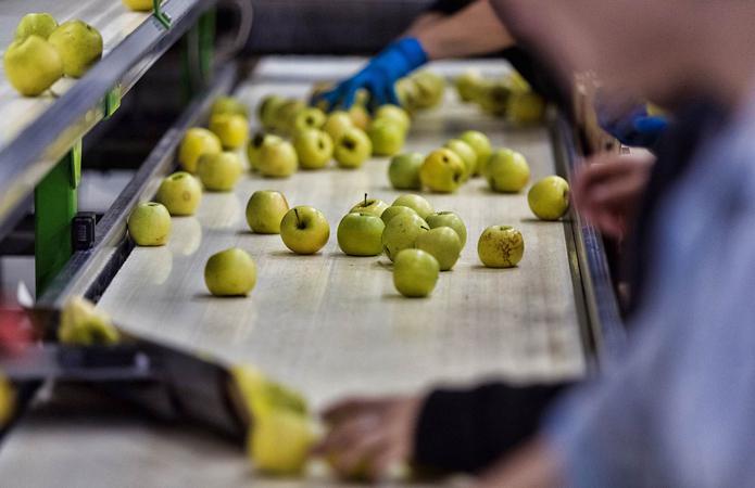  Херсонщина выделит 25 млн грн переработчикам овощей и фруктов