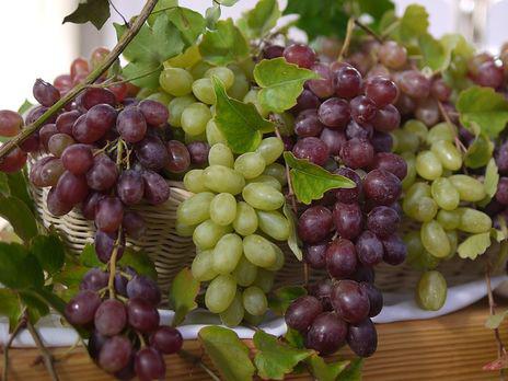  На Миколаївщини удвічі зменшились об’єми виробництва винограду