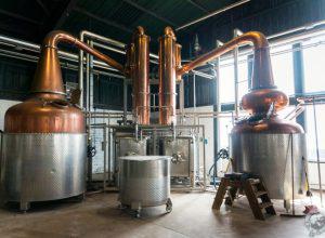  Шотландский ликеро-водочный завод стал выпускать первый в мире “экологичный” джин