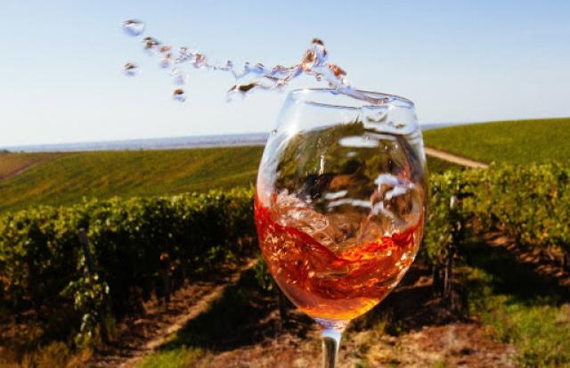  У Берегові відбудеться традиційний фестиваль вина (ПРОГРАМА)