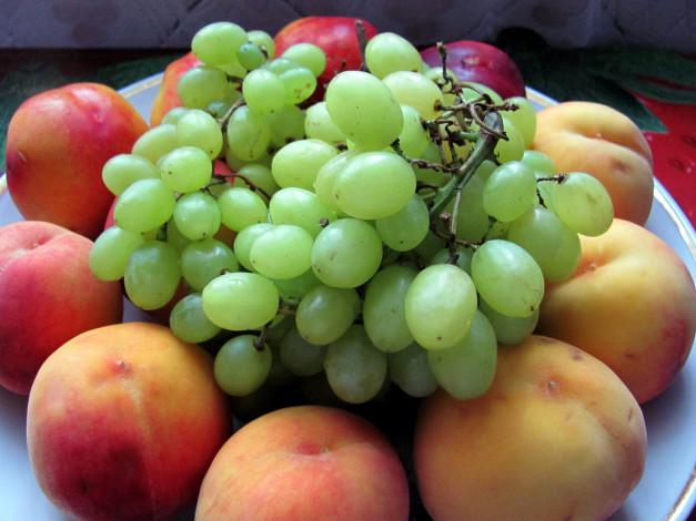  В Україні стали менше вирощувати персиків та винограду
