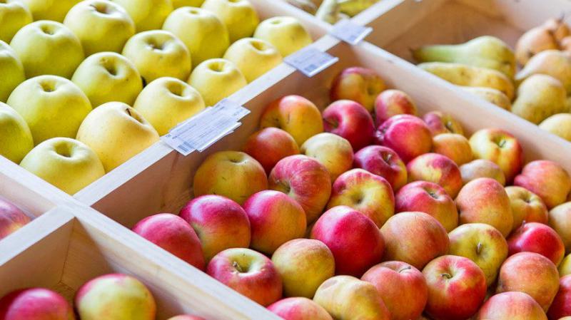  Попри песимістичні очкування сезону-2019/20 українські виробники яблук не втрачають впевненості