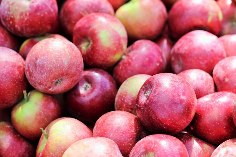  Ціни на українські яблука можуть значно знизитися через можливі проблеми з експортом