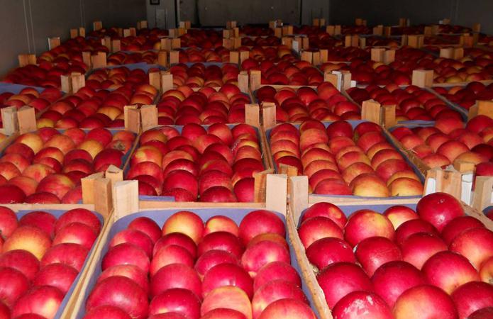  Из-за коронавируса цены на яблоки в Польше выросли на 90%