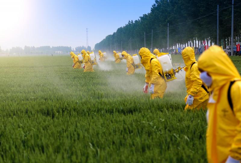  В Україні зупинили реєстрацію пестицидів