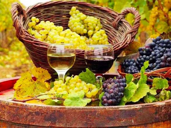  Парламентарі зробили крок до стимулювання розвитку виноградарства в Україні