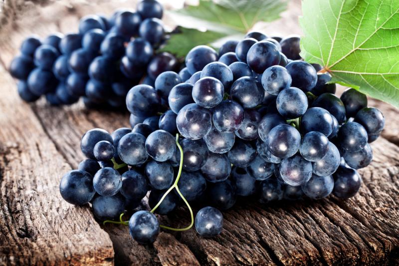  Миколаївські виноградарі планують зібрати 20 тис. тонн урожаю