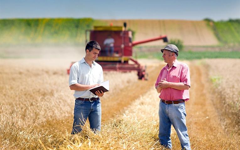  В Україні пропонують ввести податок на пай для фермерів у 6000 грн з гектара