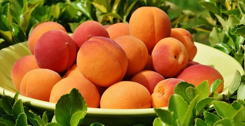  Ціни на абрикоси в Україні залишаються на рівні минулого року