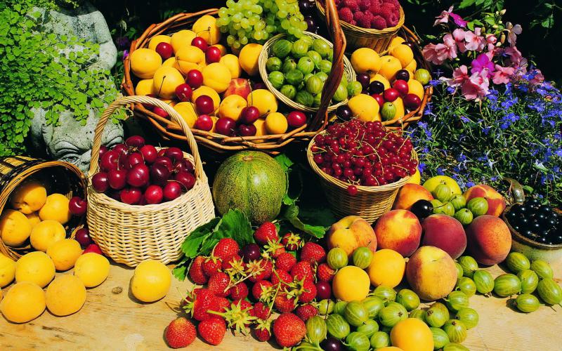 Через коронавірус Україна зменшила виручку від експорту плодоовочевої продукції на 43%