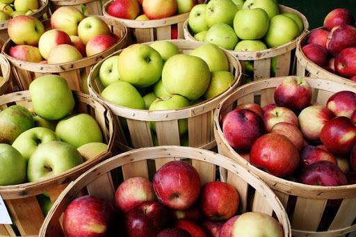  На рынок выводят первый устойчивый к изменению климата сорт яблок