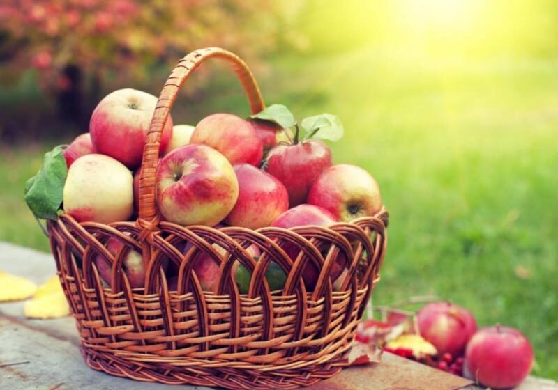  В Україні зафіксовано рекордно високі ціни на яблука