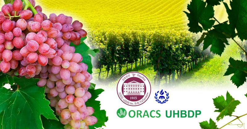  Літня школа виноградаря стартує в Інституті Таїрова