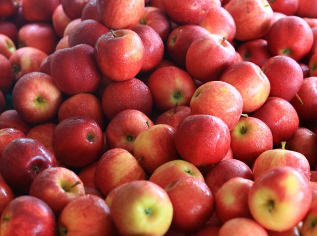  В Молдове растут цены на «осенние» яблоки, но снижается их экспорт