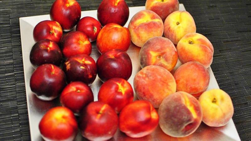  Урожай персиков и нектаринов в ЕС упал на 15%