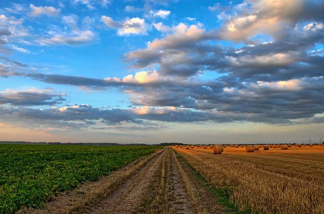  В Івано-Франківській області збільшується кількість фермерських господарств