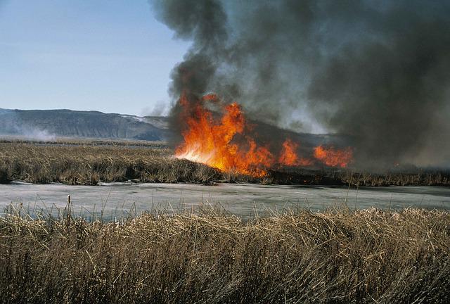  Спалювання трави: експерти розвінчують поширені міфи про користь цього нищівного процесу