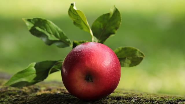  Індійський садівник вивів новий сорт яблук