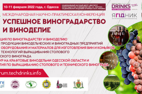 Успешное виноградарство и виноделие: приглашаем на профильную конференцию 10-11 февраля