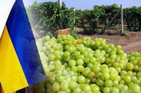 Украина вошла в международный реестр винодельческих стран