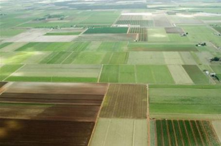 Украинское государство будет компенсировать аграриям процентную ставку на приобретение сельхозтехники в кредит?