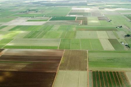  Украинское государство будет компенсировать аграриям процентную ставку на приобретение сельхозтехники в кредит?
