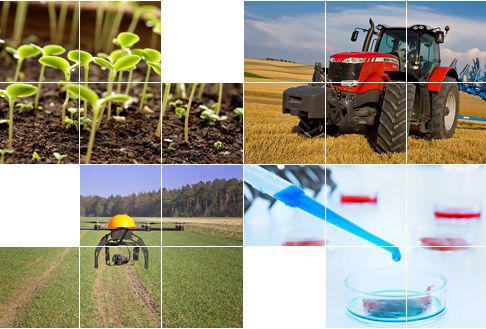  Китай Modern Agri 2014: Выставка оборудования и инноваций в сельском хозяйстве