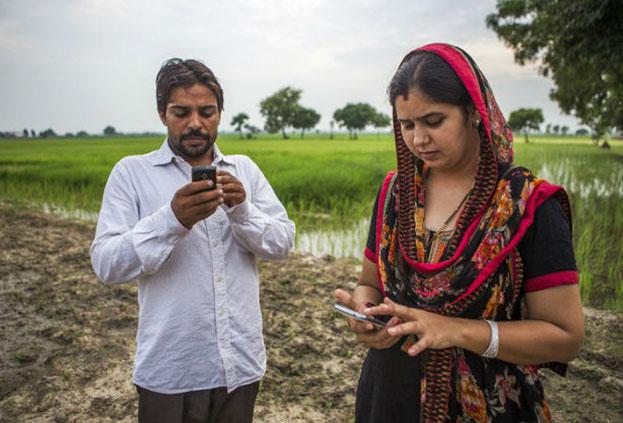  Социальная сеть для аграриев поможет в борьбе за урожай